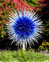Chihuly Nights 2012